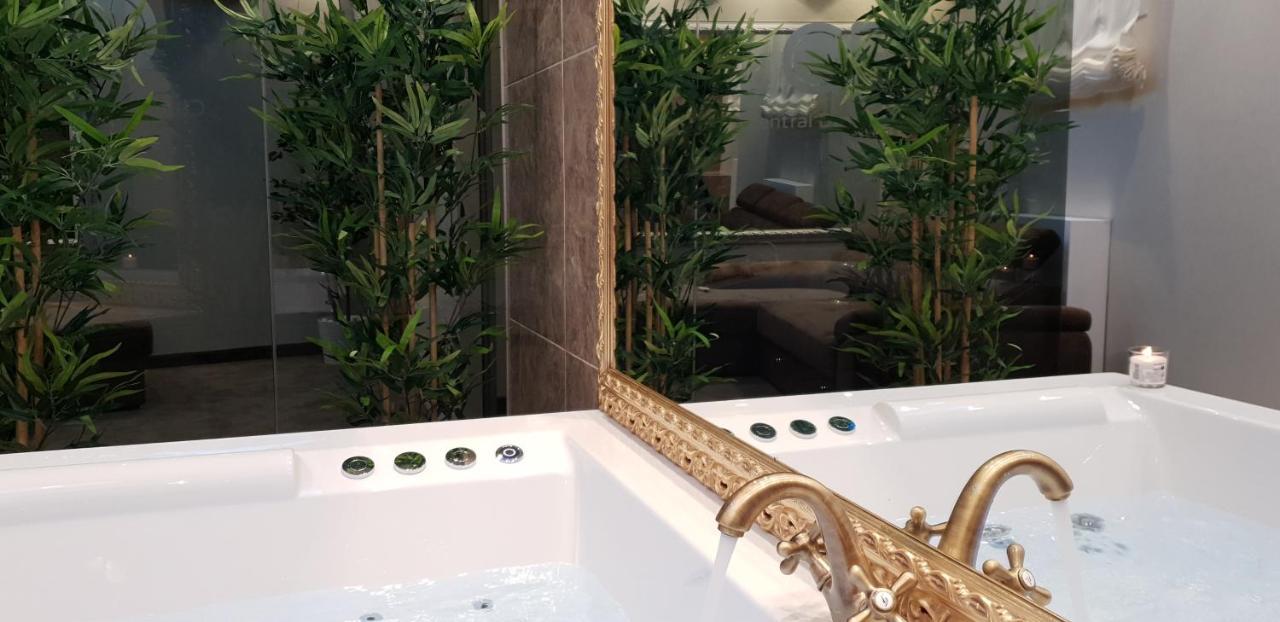 Central Business Apartments Jacuzzi Belgrado Esterno foto